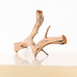 manzanita driftwood