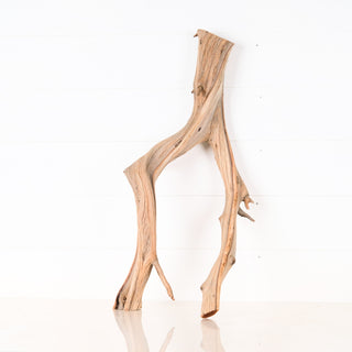manzanita driftwood