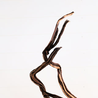 Manzanita Driftwood (Set of 2)