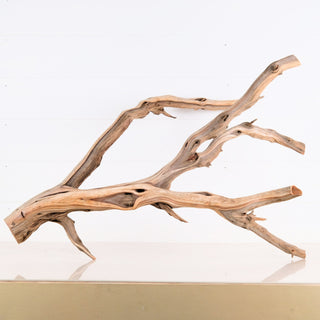 Manzanita Driftwood