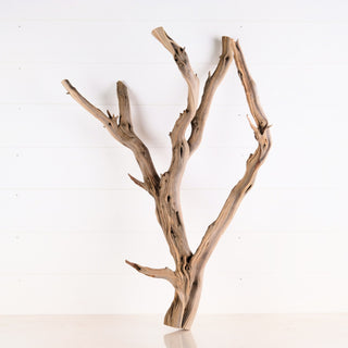 Manzanita Driftwood