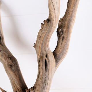 Manzanita Driftwood