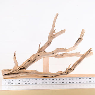 Manzanita Driftwood