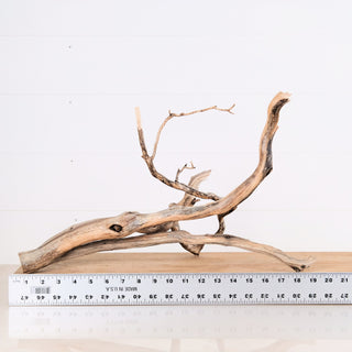 Manzanita Driftwood 18"