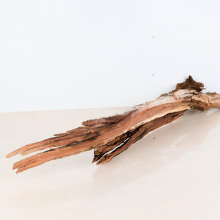 Manzanita Driftwood (Set of 2)
