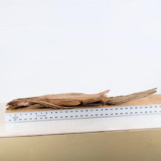 Manzanita Driftwood (Set of 2)