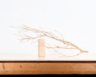 Manzanita Driftwood 28"