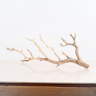 Manzanita Driftwood