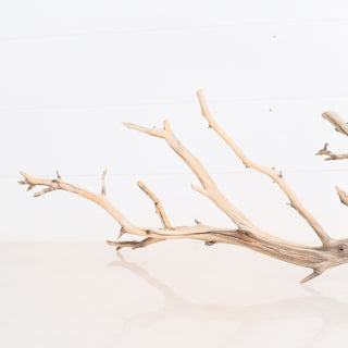 Manzanita Driftwood