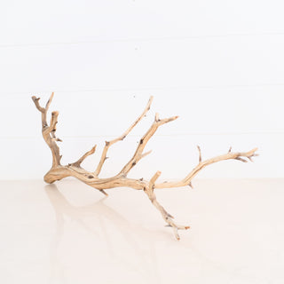 Manzanita Driftwood