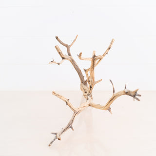 Manzanita Driftwood