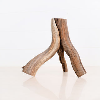 Manzanita Driftwood