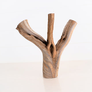 Manzanita Driftwood