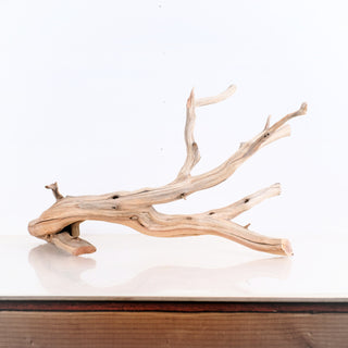 Manzanita Driftwood