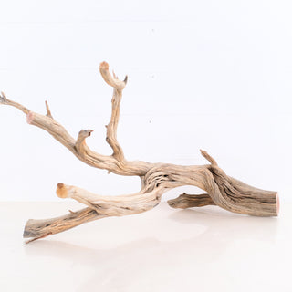 Manzanita Driftwood