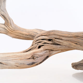Manzanita Driftwood