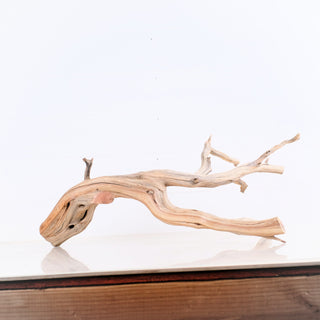 Manzanita Driftwood