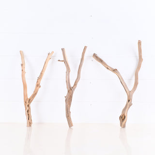 Manzanita Driftwood