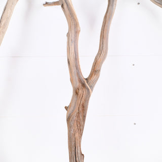 Manzanita Driftwood