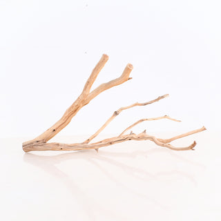 Manzanita Driftwood