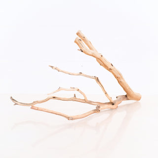 Manzanita Driftwood