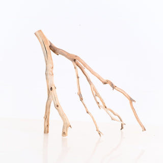 Manzanita Driftwood