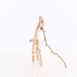 Manzanita Driftwood