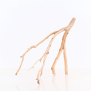 Manzanita Driftwood