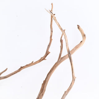 Manzanita Driftwood