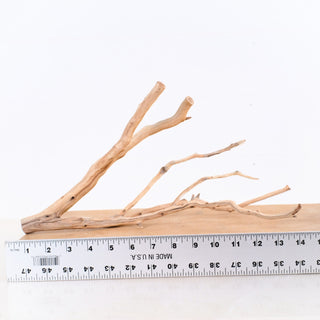 Manzanita Driftwood