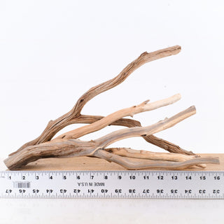 Manzanita Driftwood