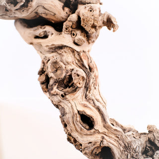 Sandblasted Grapewood