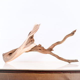 Manzanita 27"