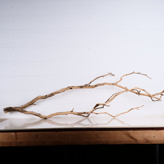 Manzanita 48"