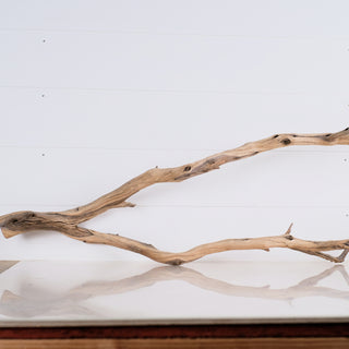 Manzanita 48"