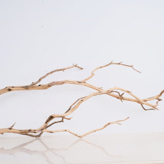 Manzanita 48"