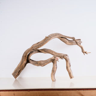 Manzanita 30"