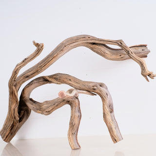 Manzanita 30"