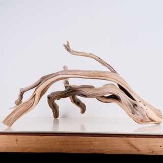 Manzanita 30"