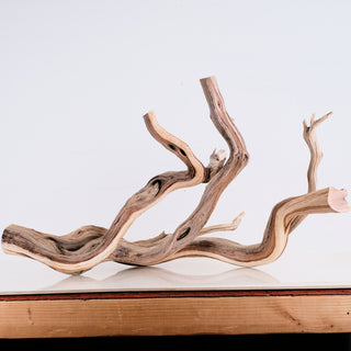 Manzanita 30"