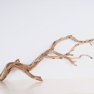 Manzanita 43"