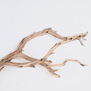 Manzanita 43"