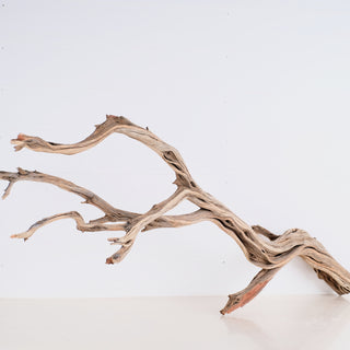 manzanita driftwood