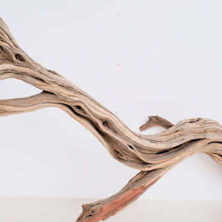 Manzanita 43"