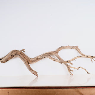 Manzanita 43"