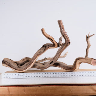 Manzanita 30"
