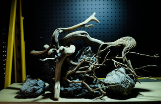 aquarium driftwood
