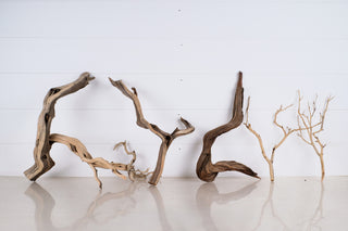 Manzanita Set
