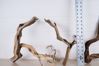 Manzanita Set