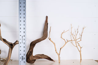 Manzanita Set